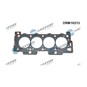 DRM16213 LIZARTE