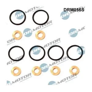 DRM056S LIZARTE