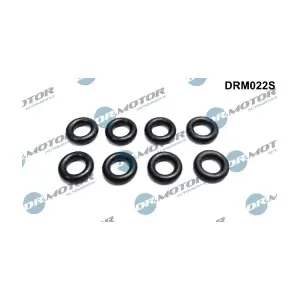 DRM022S LIZARTE