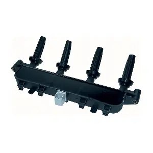BOBEN009 LIZARTE