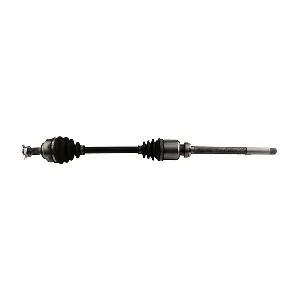 DS0602 LIZARTE