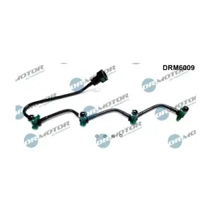 LIZARTE DRM6009