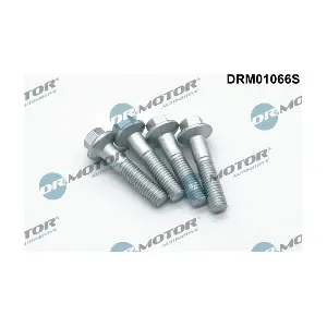 DRM01066S LIZARTE