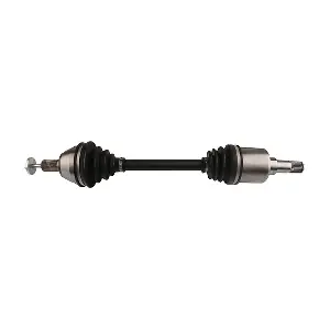 LIZARTE DS0365