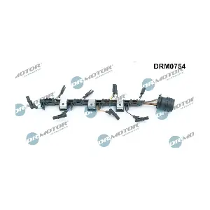 DRM0754 LIZARTE