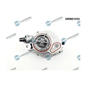 DRM01935 LIZARTE