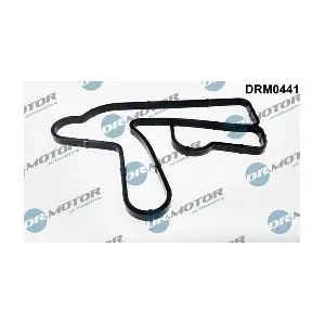 LIZARTE DRM0441
