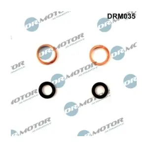 DRM035 LIZARTE