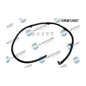 DRM12007 LIZARTE