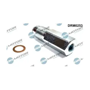 DRM0253 LIZARTE