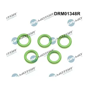 DRM01348R LIZARTE