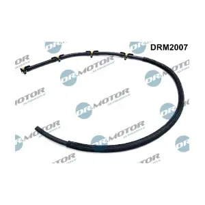 LIZARTE DRM2007