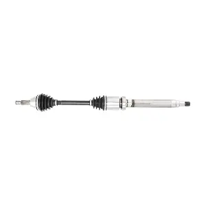 LIZARTE DS0358