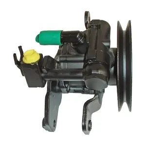 PA1184 LIZARTE