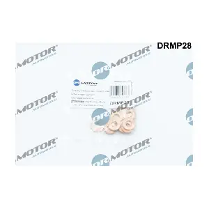 LIZARTE DRMP28