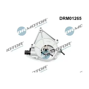 DRM01265 LIZARTE
