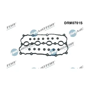 DRM0701S LIZARTE