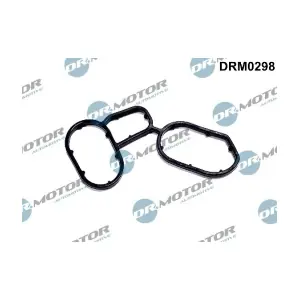 DRM0298 LIZARTE