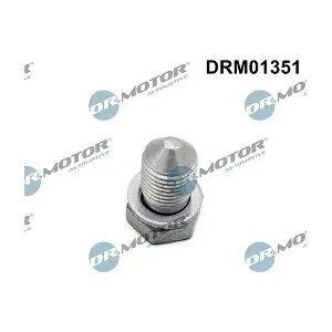 LIZARTE DRM01351