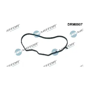 DRM0907 LIZARTE