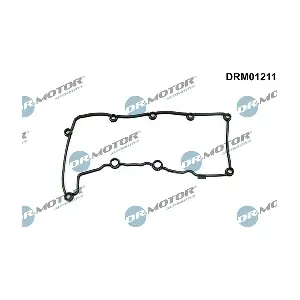 DRM01211 LIZARTE