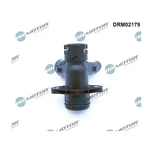 DRM02179 LIZARTE