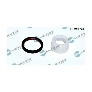 DRM0744 LIZARTE