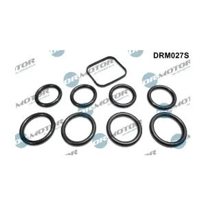 DRM027S LIZARTE