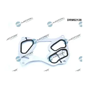 DRM02128 LIZARTE