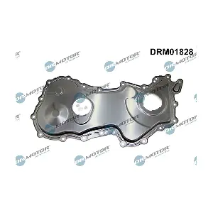 DRM01828 LIZARTE