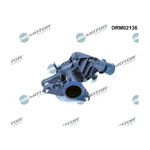 DRM02136 LIZARTE