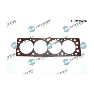 DRM15226 LIZARTE