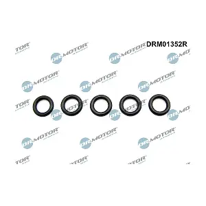DRM01352R LIZARTE