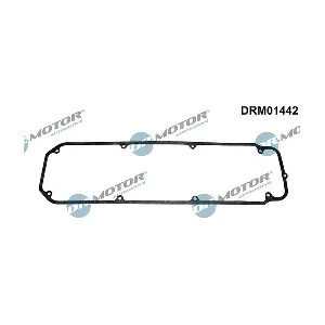 DRM01442 LIZARTE