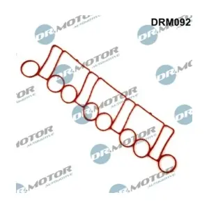 DRM092 LIZARTE