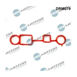 DRM079 LIZARTE