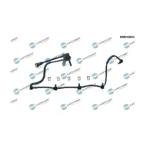 DRM18003 LIZARTE