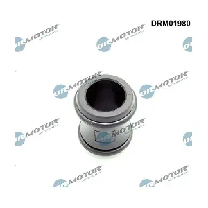 LIZARTE DRM01980