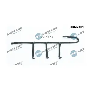DRM2101 LIZARTE