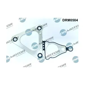 DRM0504 LIZARTE