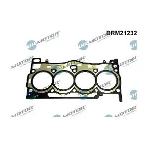 DRM21232 LIZARTE