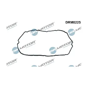 DRM0225 LIZARTE
