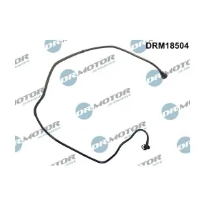 DRM18504 LIZARTE
