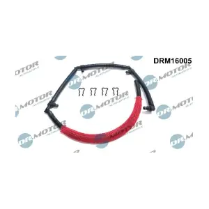 DRM16005 LIZARTE