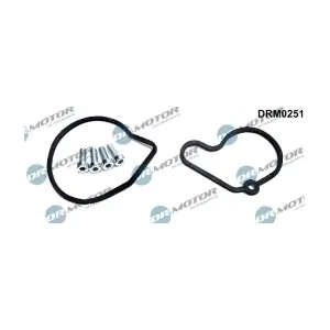 DRM0251 LIZARTE