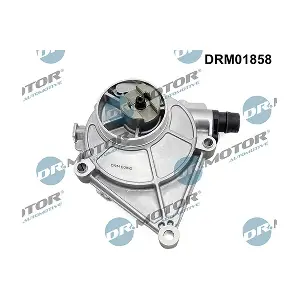 DRM01858 LIZARTE