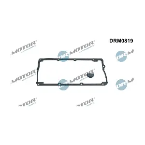 DRM0819 LIZARTE