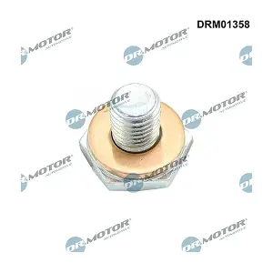 DRM01358 LIZARTE