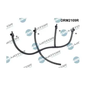 DRM2109R LIZARTE