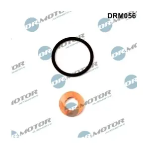 DRM056 LIZARTE